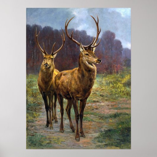 Bonheur - monarchen van het bos poster (Voorkant)