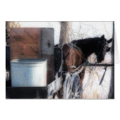 Bonjour (Devant horizontal)