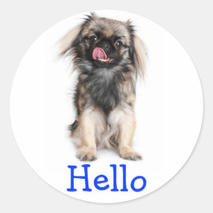 Bonjour Autocollant de salutation pour chiot Pékin