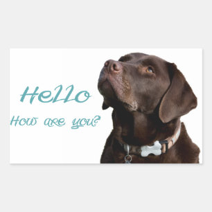 Bonjour Autocollant Étiquette Labrador Retriever N