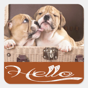 Bonjour Autocollant / Sceau de chiot Bouledogue An