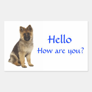 Bonjour Autocollants de salutation pour chiot berg