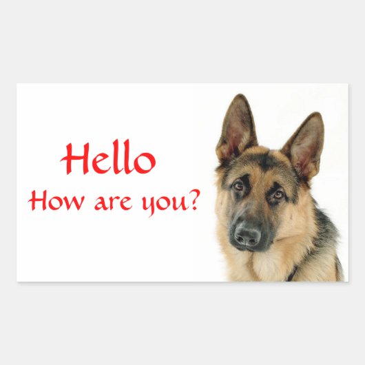 Bonjour Autocollants de salutation pour chiot berg (Devant)