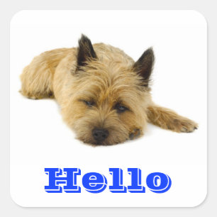 Bonjour Autocollants de salutation pour chiots Cai