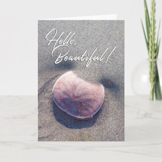 Bonjour Beau Carte photo de sable en direct Dollar (Devant)