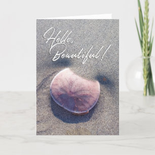 Bonjour Beau Carte photo de sable en direct Dollar