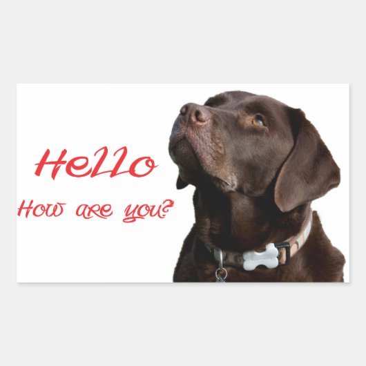 Bonjour Black Brown Labrador Retriever Sticker Éti (Devant)