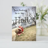 "Bonjour !" Carte de poulet (Debout devant)