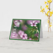 Bonjour - carte de voeux rose d'oxalide blanche (Fleur jaune)