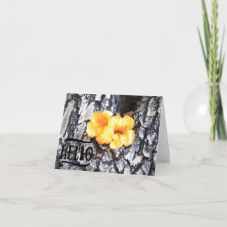 Bonjour Carte de voeux vierge avec Allamanda jaune