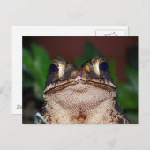 Bonjour ! Carte postale (Devant / Derrière)