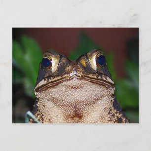 Bonjour ! Carte postale