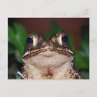 Bonjour ! Carte postale