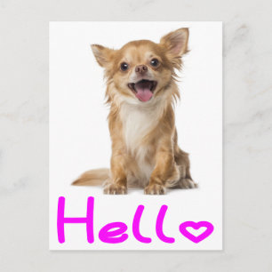Bonjour Carte Postale de Chien Chihuahua Chiot