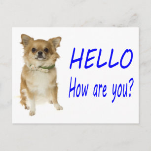 Bonjour Carte Postale de Chien Chihuahua Chiot