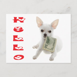 Bonjour Carte Postale de Chien Chihuahua Chiot