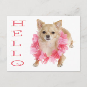 Bonjour Carte Postale de Chien Chihuahua Chiot
