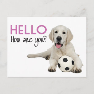 Bonjour Carte Postale Labrador Retriever Jaune