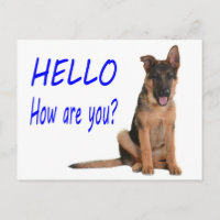 Bonjour Carte Postale Vierge de Chien Chiots Berge