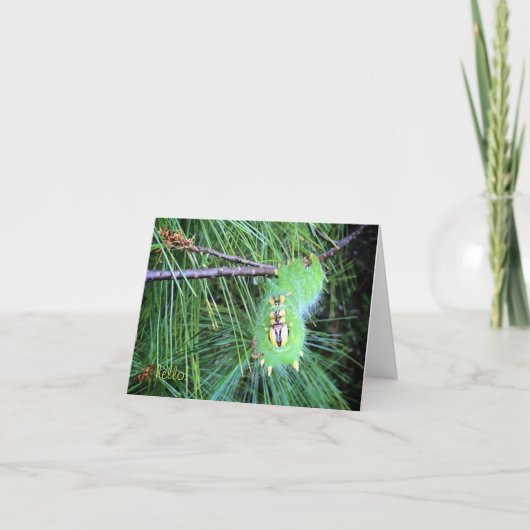 bonjour carte pour notes de chenille (Devant)