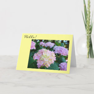 Bonjour ! Cartes de vœux J'espère que tout va bien
