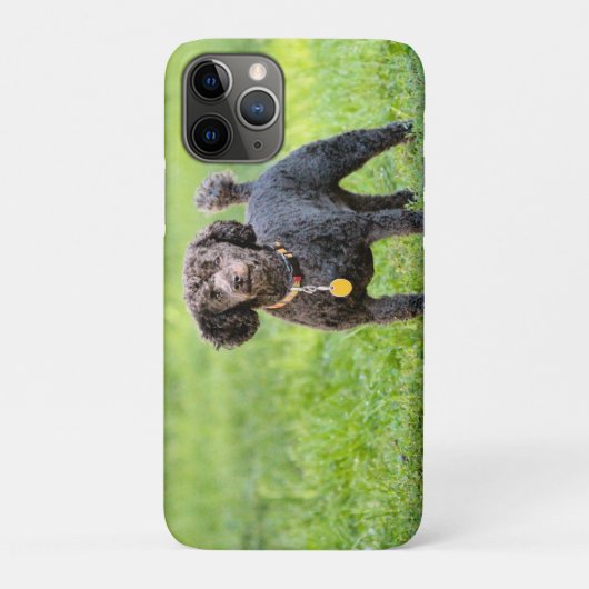 Bonjour Case-Mate iPhone Case (Achterkant)
