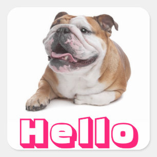 Bonjour Chien Chiot Bouledogue Heureux Autocollant