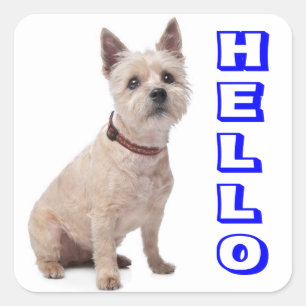 Bonjour Chien Chiot Terrier Cairn Autocollants