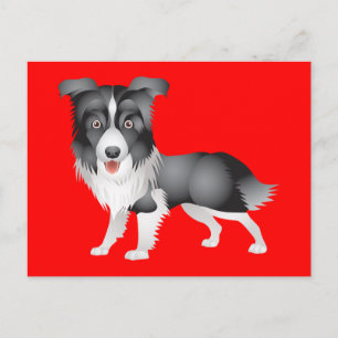 Bonjour chiot Border Collie Carte Postale de vœux