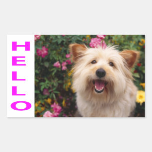 Bonjour Chiot de Terrier de Cairn Autocollants de