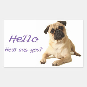 Bonjour chiot Pug Sticker / Étiquette
