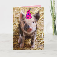 BONJOUR D'ANNIVERSAIRE PIGLETS PIGLETS FUNNY CARTE