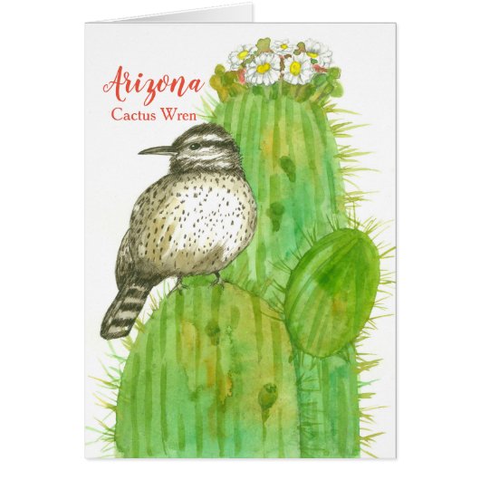 Bonjour De Arizona Cactus Wren Saguaro (Devant)