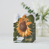 Bonjour De La Carte Postale Iowa (Debout devant)