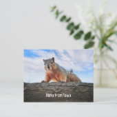 Bonjour De La Carte Postale Iowa (Debout devant)