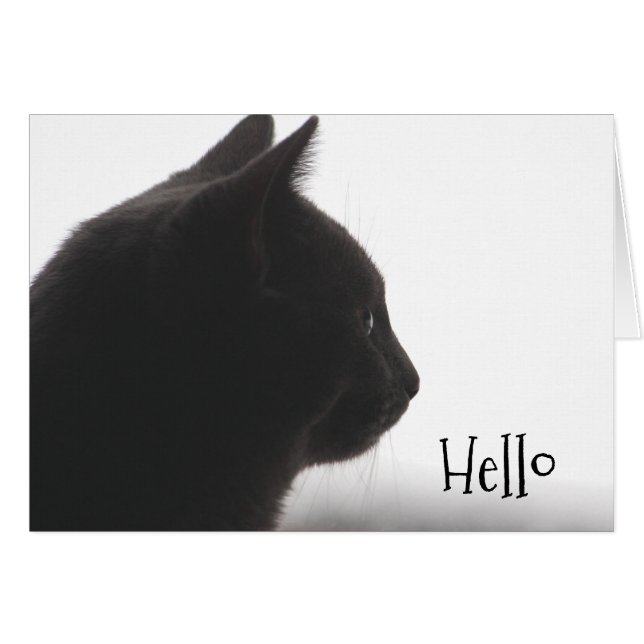 Bonjour Depuis Un Chat Kitty (Devant horizontal)