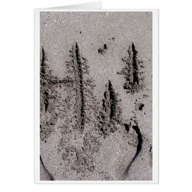 Bonjour ! Écrit en sable de plage de la Floride (Devant)
