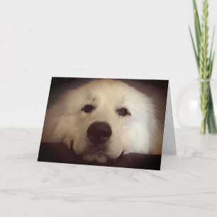 Bonjour et pensant à vous carte intérieure vierge