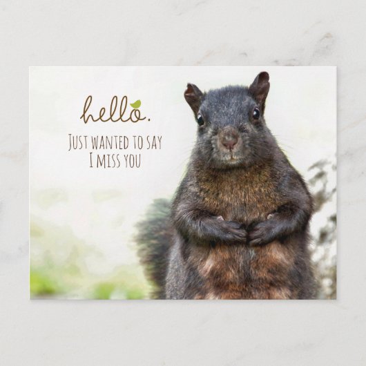 Bonjour, Je Me Manque Votre Carte Postale (Devant)