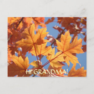 BONJOUR MAMIE ! CARTE POSTALE Feuilles d'automne o