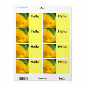 Bonjour Nom Balise Étiquettes Conférences Visiteur (Feuille entière)