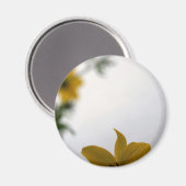 Bonjour Printemps Fleurs Jaunes Magnet (Recto/Verso)
