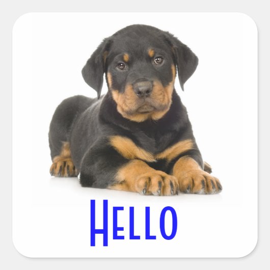 Bonjour Rottweiler Chien Chien Chien Chien Sticker (Devant)