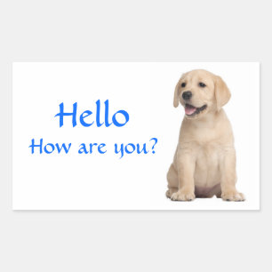 Bonjour / Salut Autocollants de chiot Labrador Re