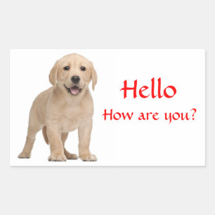 Bonjour / Salut Autocollants de chiot Labrador Ret