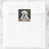 Bonjour / Salut Labrador Retriever Stickers Chien  (Sac)