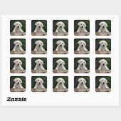 Bonjour / Salut Labrador Retriever Stickers Chien  (Feuille)