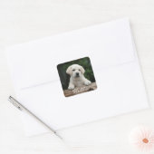 Bonjour / Salut Labrador Retriever Stickers Chien  (Enveloppe)