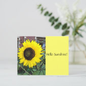 Bonjour Sunshine Sunflower Carte postale (Debout devant)