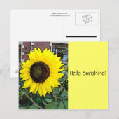 Bonjour Sunshine Sunflower Carte postale (Devant / Derrière)